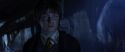 CS-Potterish_08314.jpg