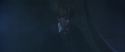 CS-Potterish_08363.jpg