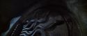 CS-Potterish_08469.jpg