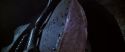 CS-Potterish_08473.jpg