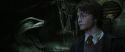 CS-Potterish_08518.jpg
