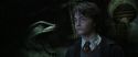 CS-Potterish_08519.jpg