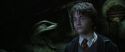 CS-Potterish_08520.jpg