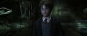 CS-Potterish_08528.jpg