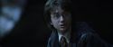 CS-Potterish_08549.jpg