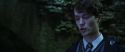 CS-Potterish_08584.jpg