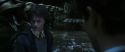 CS-Potterish_08595.jpg