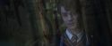 CS-Potterish_08622.jpg