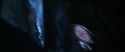 CS-Potterish_08637.jpg
