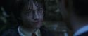 CS-Potterish_08703.jpg
