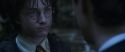 CS-Potterish_08717.jpg