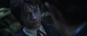 CS-Potterish_08731.jpg