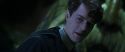 CS-Potterish_08779.jpg