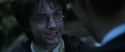 CS-Potterish_08797.jpg
