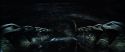 CS-Potterish_08814.jpg