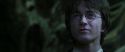 CS-Potterish_08817.jpg