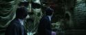 CS-Potterish_08823.jpg