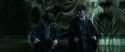 CS-Potterish_08831.jpg
