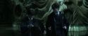 CS-Potterish_08832.jpg
