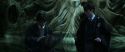 CS-Potterish_08833.jpg