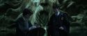 CS-Potterish_08835.jpg