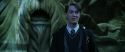 CS-Potterish_08866.jpg