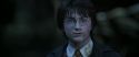 CS-Potterish_08871.jpg