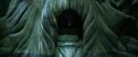 CS-Potterish_08877.jpg