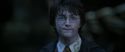 CS-Potterish_08878.jpg