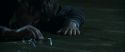 CS-Potterish_08902.jpg