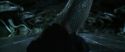CS-Potterish_08906.jpg