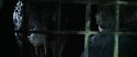 CS-Potterish_08991.jpg