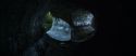 CS-Potterish_09031.jpg