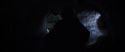 CS-Potterish_09041.jpg