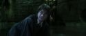 CS-Potterish_09059.jpg