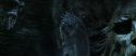 CS-Potterish_09072.jpg