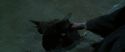 CS-Potterish_09079.jpg