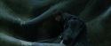 CS-Potterish_09097.jpg