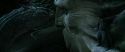 CS-Potterish_09101.jpg