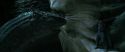 CS-Potterish_09104.jpg