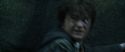 CS-Potterish_09105.jpg