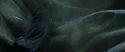 CS-Potterish_09111.jpg
