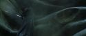 CS-Potterish_09112.jpg
