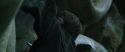 CS-Potterish_09113.jpg