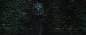 CS-Potterish_09115.jpg