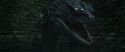 CS-Potterish_09116.jpg