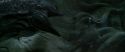 CS-Potterish_09118.jpg