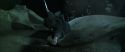 CS-Potterish_09119.jpg