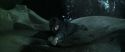 CS-Potterish_09120.jpg