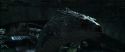 CS-Potterish_09122.jpg